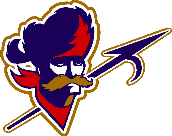 ottawa rough riders 1994 primary logo DTF transfer for t shirt
